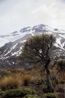 foto viaje Cavihaue Neuquén