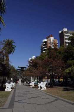 foto viaje Rosario Santa Fé